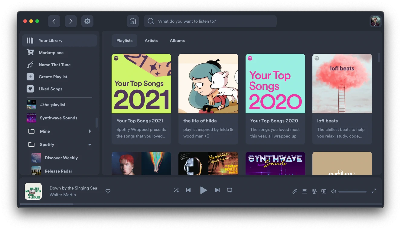 Spotify with Nord theme — a cool blue-toned interface inspired by the Nord color palette